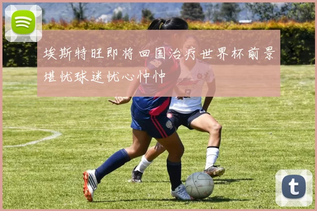 埃斯特旺即将回国治疗世界杯前景堪忧球迷忧心忡忡