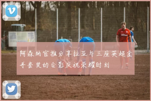 阿森纳官推分享拉亚与三座英超金手套奖的合影庆祝荣耀时刻